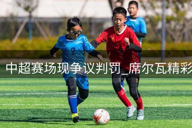 中超赛场现争议判罚 席尔瓦精彩进球因队友越位遭取消