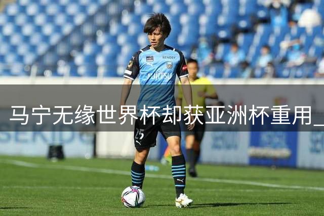 马宁无缘世界杯却获亚洲杯重用 球迷热议"卡牌大师"执法风格